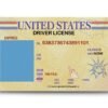 Buy Real Drivers License Online of USA