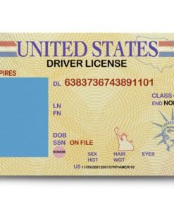 Buy Real Drivers License Online of USA